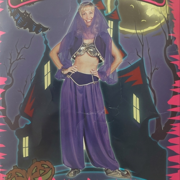 ARABIAN PRINCESS Solid Purple Pants Adult Belly Dancer Costume NWT - Picture 1 of 14